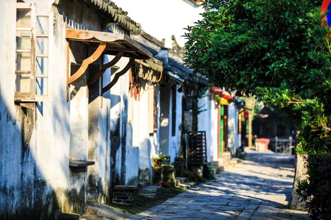 热威股份：选举金莉莉为公司第二届监事会主席
